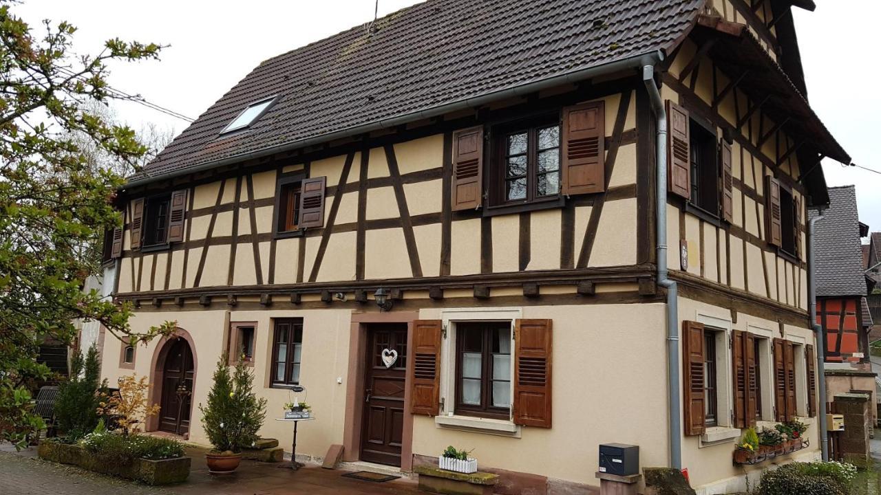 Gite A La Petite Fontaine-Plain Pied-Maison Alsacienne Renovee Avec Passion-4 Pers-4Nuitees Minimum Langensoultzbach Exterior foto